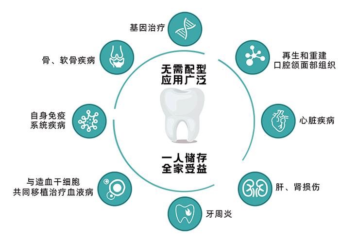 牙髓干细胞再生牙齿要多少钱