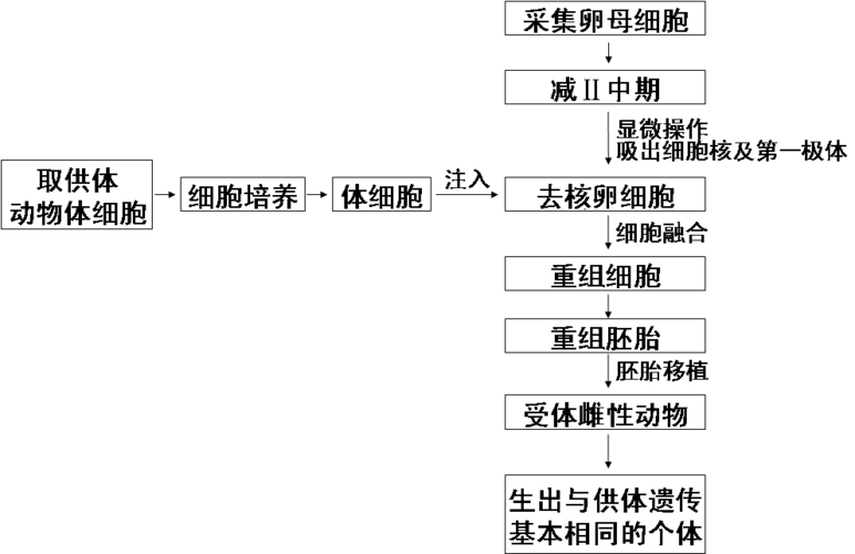 结缔组织移植术步骤